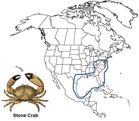 stone crab locations